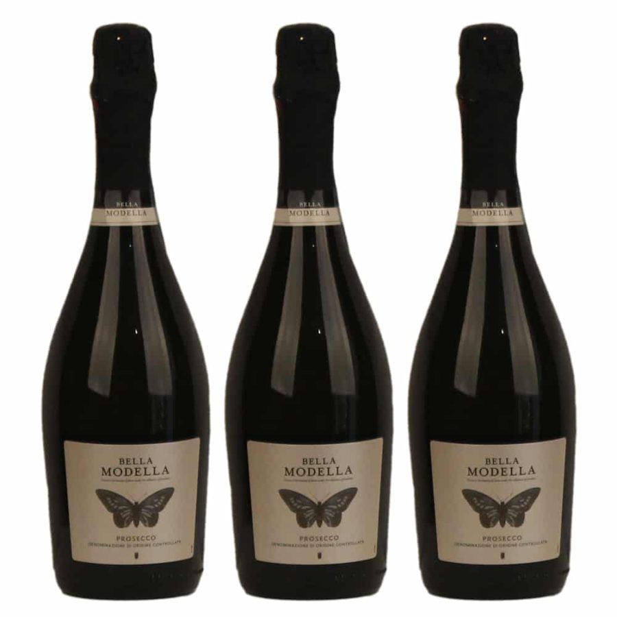3 Bottle Bella Modella Prosecco Wine Case