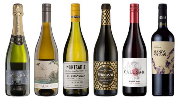 gold complete christmas wine case