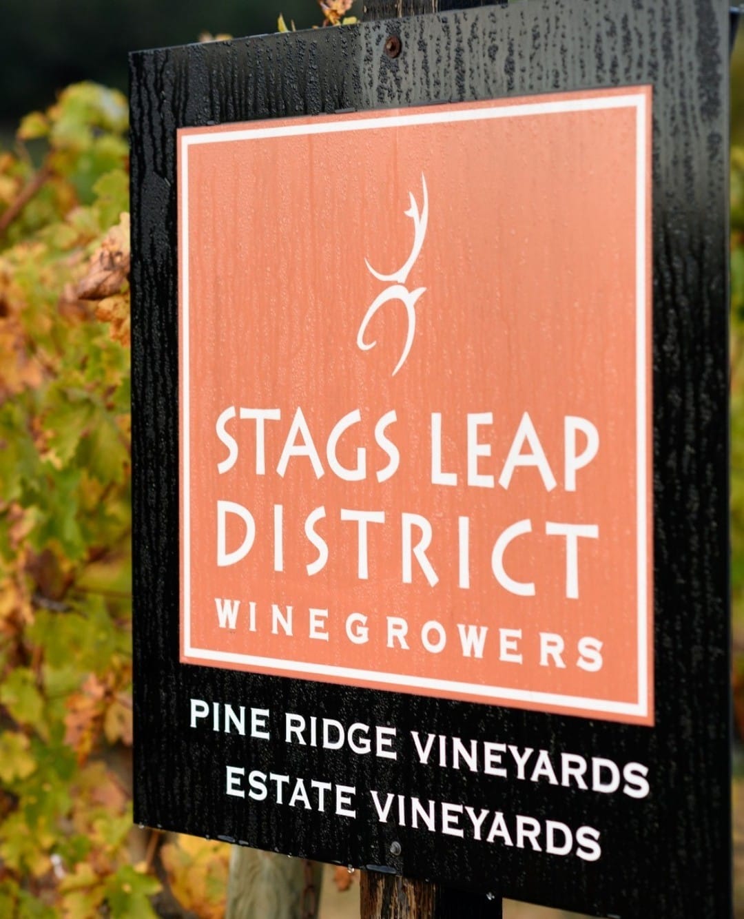 Stags Leap District Pine Ridge Vineyards Sign