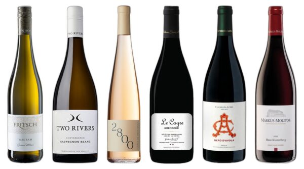 Discovery Spring Wine Case