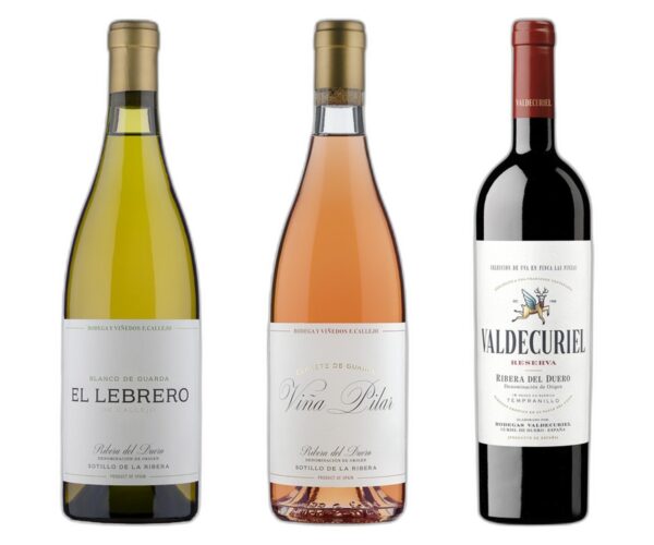 Remarkable 3 Bottle Ribera del Duero Gift Set