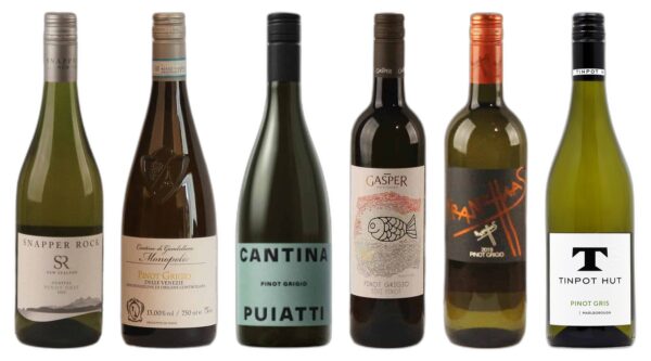 Discovery Pinot Grigio Wine Case