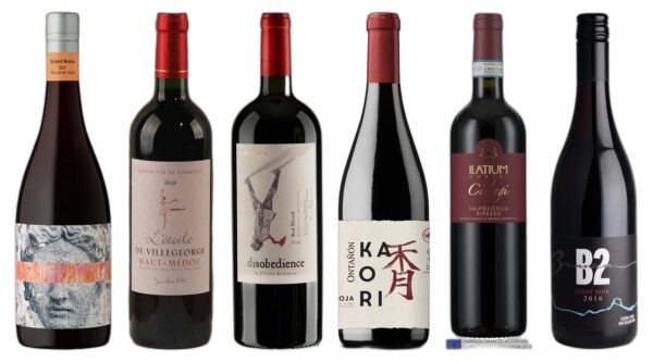Discovery Red Wine Case