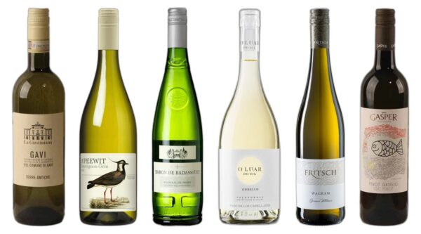 Discovery White Wine Case