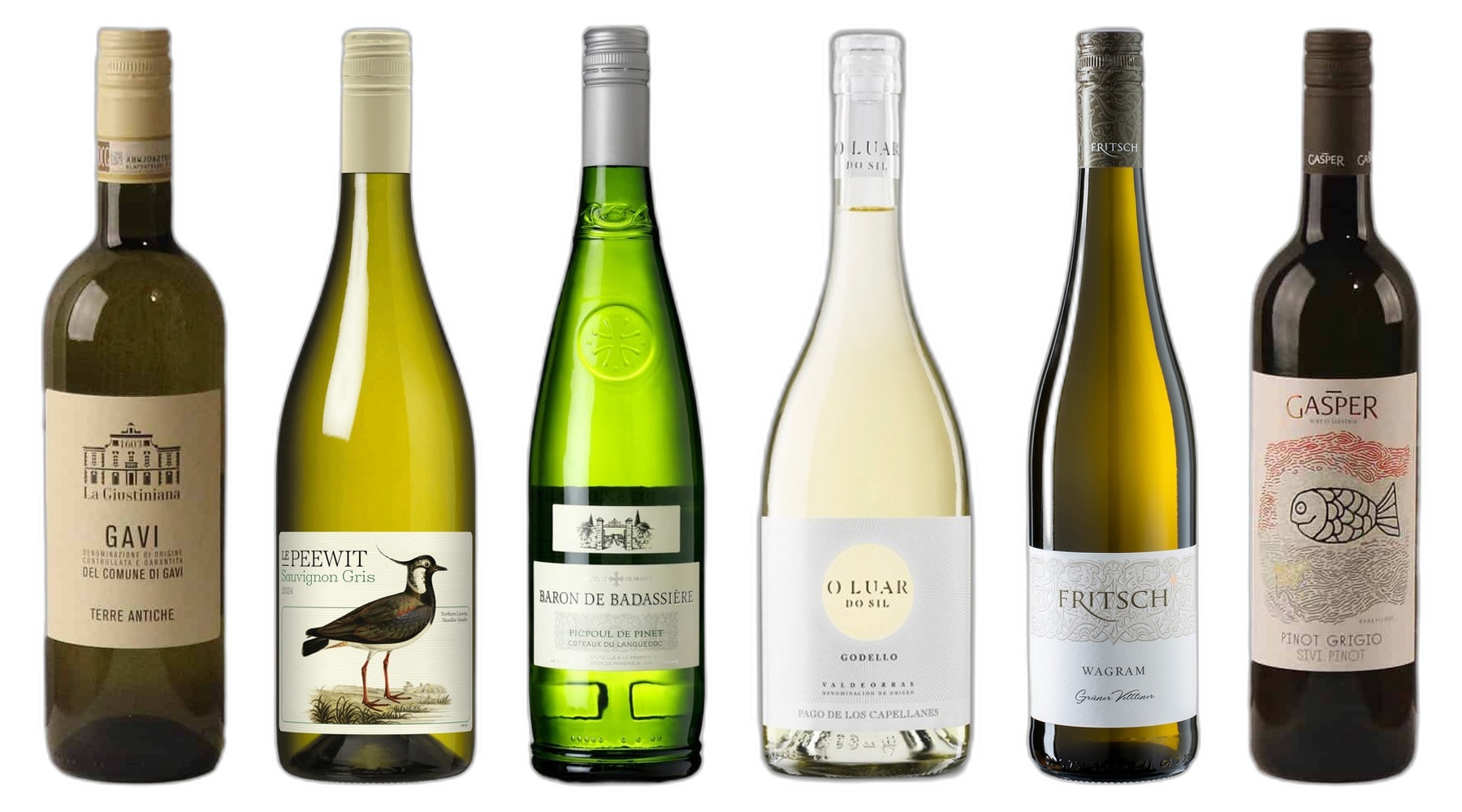 Discovery White Wine Case
