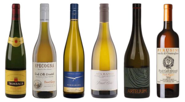 Remarkable Pinot Grigio Wine Case